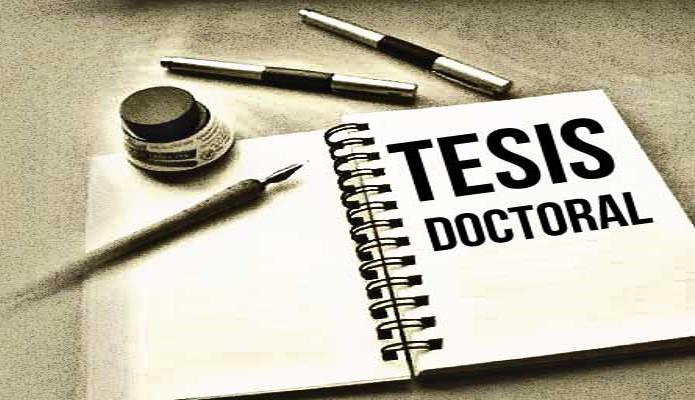 Seminario de Avance de Tesis Doctoral III (DAD/C2/JUL2025)